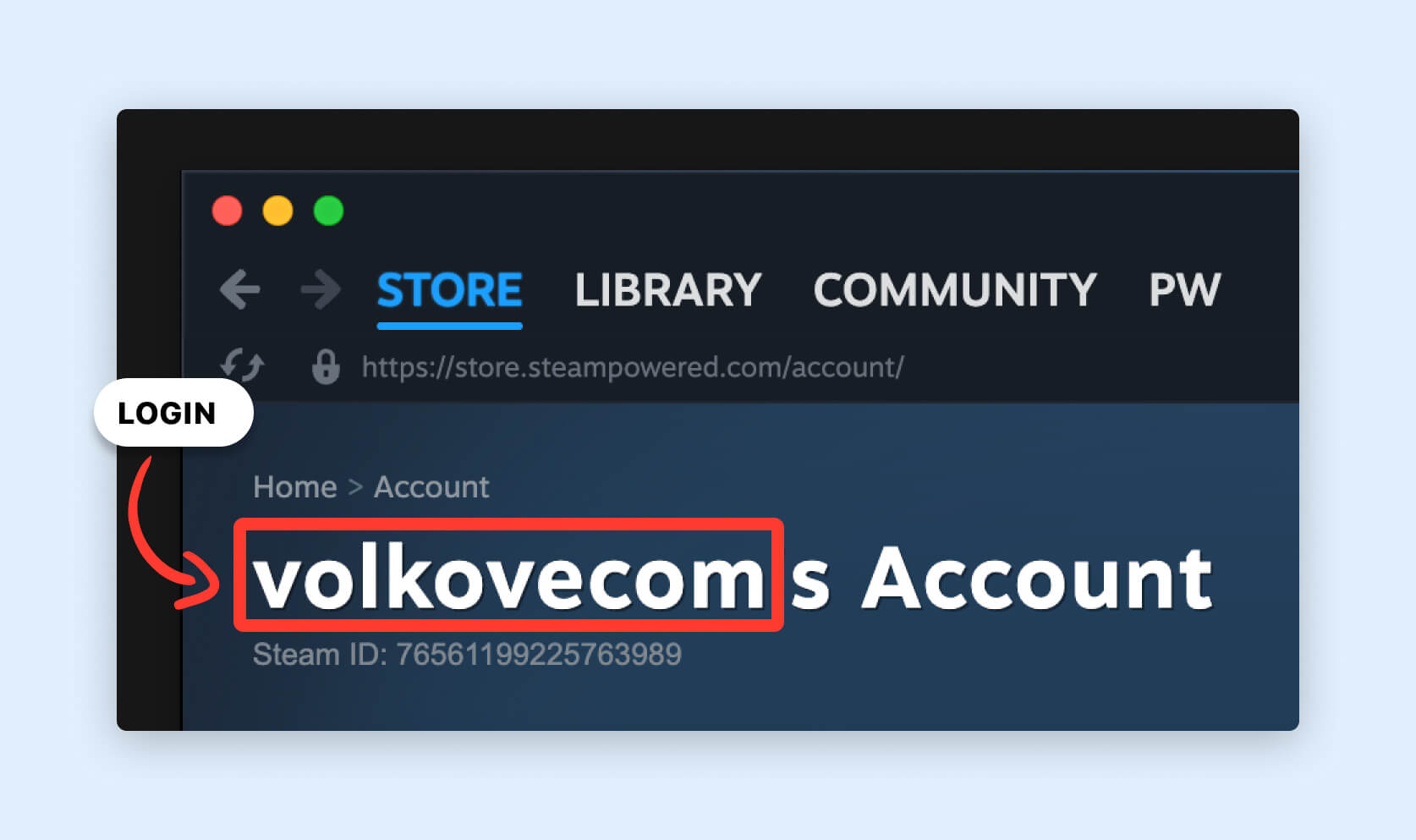 Play Wallet Login Steam